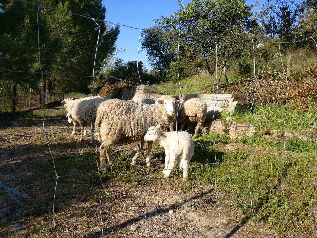 Affittacamere Quinta da Abrunheira - Gustavo Eiffel Ciborro Esterno foto