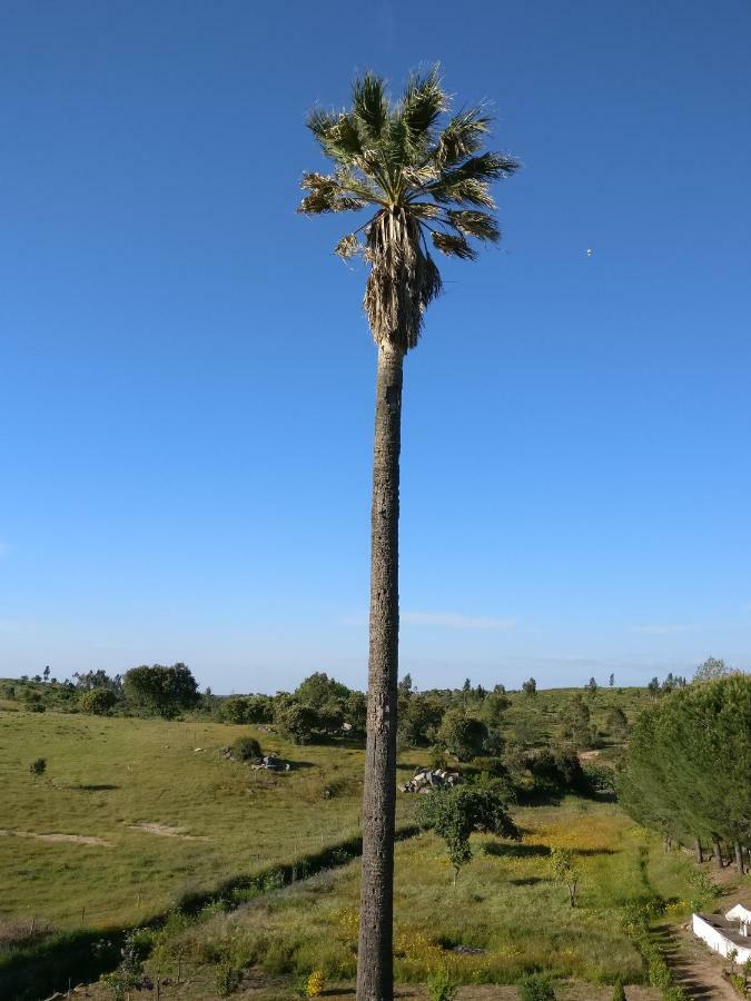 Affittacamere Quinta da Abrunheira - Gustavo Eiffel Ciborro Esterno foto