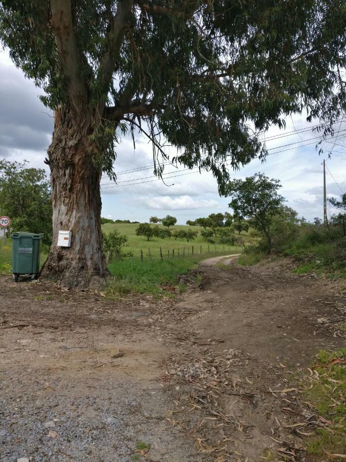 Affittacamere Quinta da Abrunheira - Gustavo Eiffel Ciborro Esterno foto