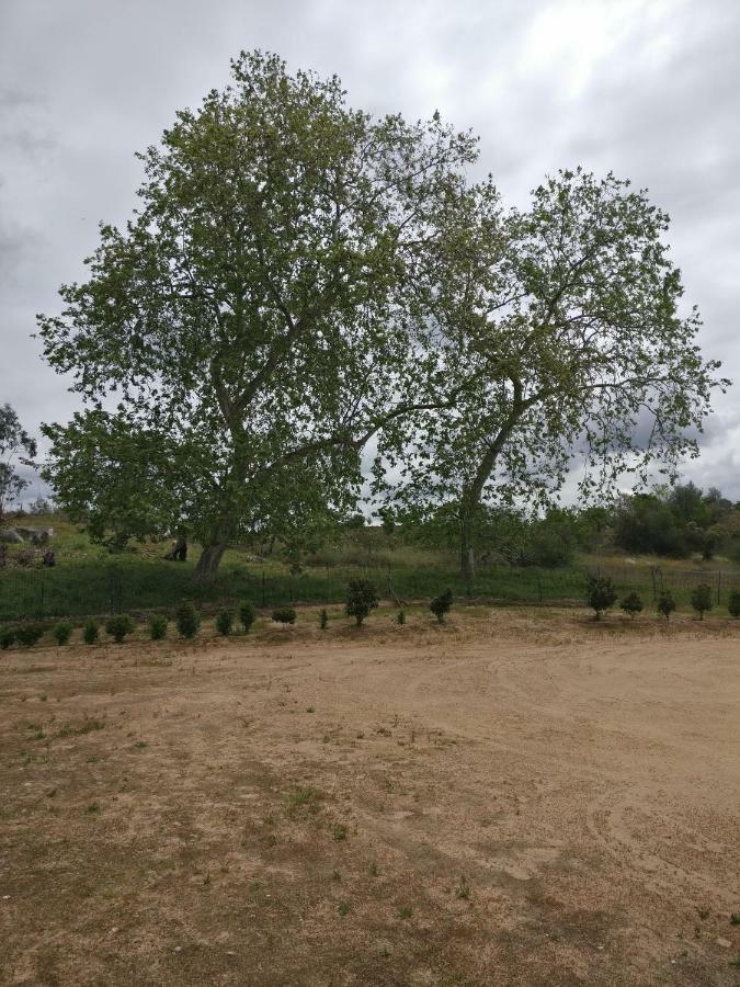 Affittacamere Quinta da Abrunheira - Gustavo Eiffel Ciborro Esterno foto