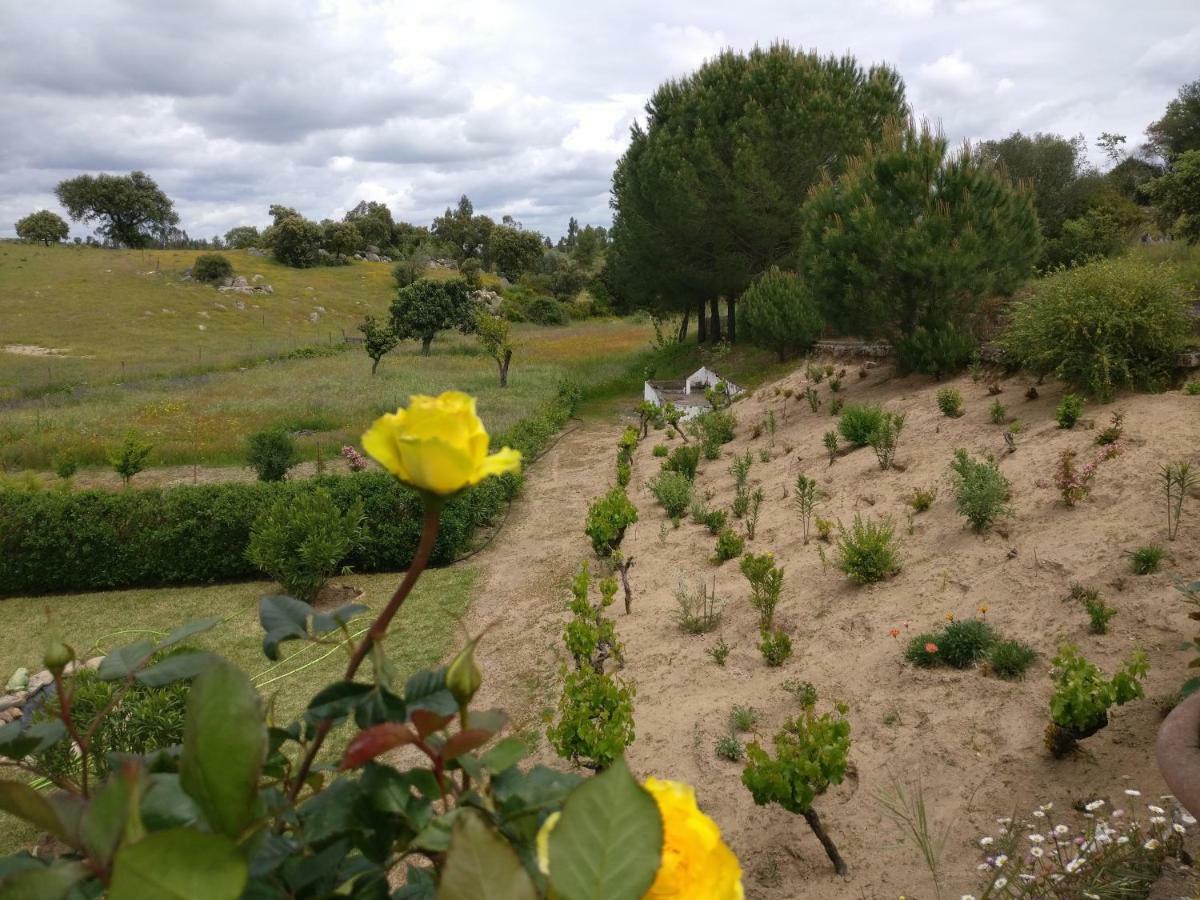 Affittacamere Quinta da Abrunheira - Gustavo Eiffel Ciborro Esterno foto